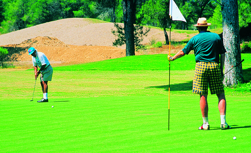 %D0%9F%D0%BE%D0%BB%D0%B5_%D0%B4%D0%BB%D1