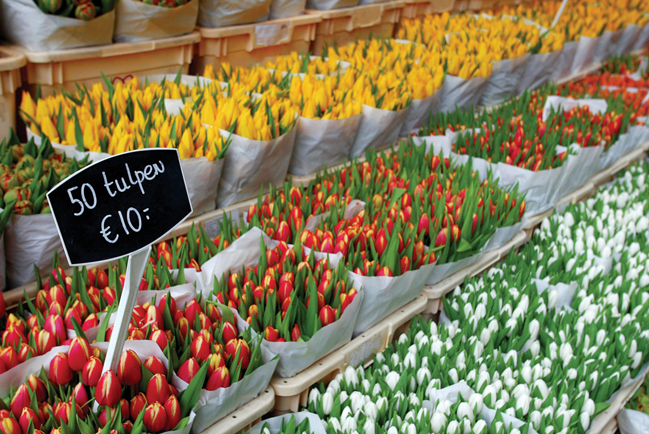 Картинки по запросу Цветочный рынок Амстердама фото