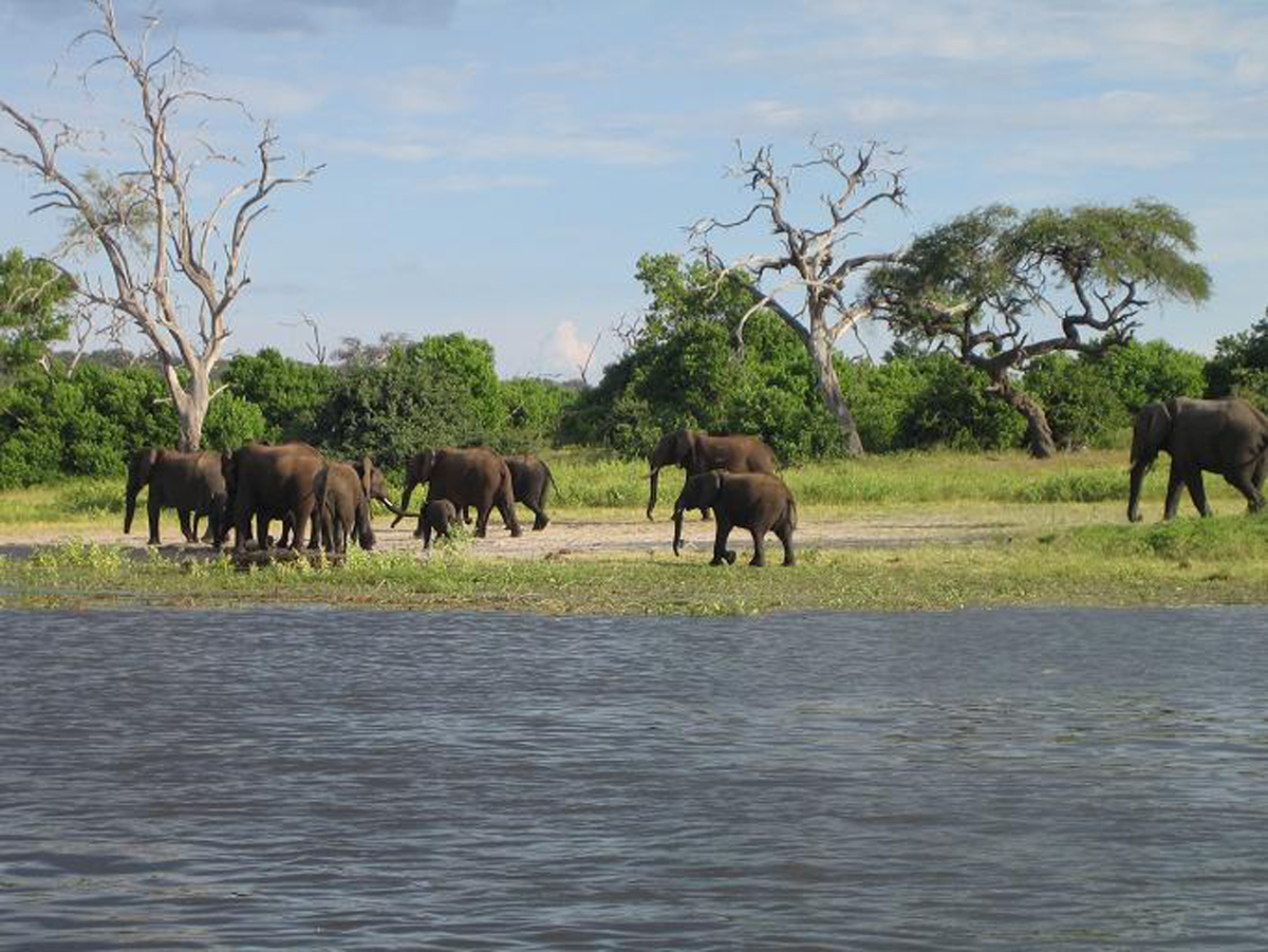 Этимология наименования государств мира на русском языке. Африка. Часть 1 язык