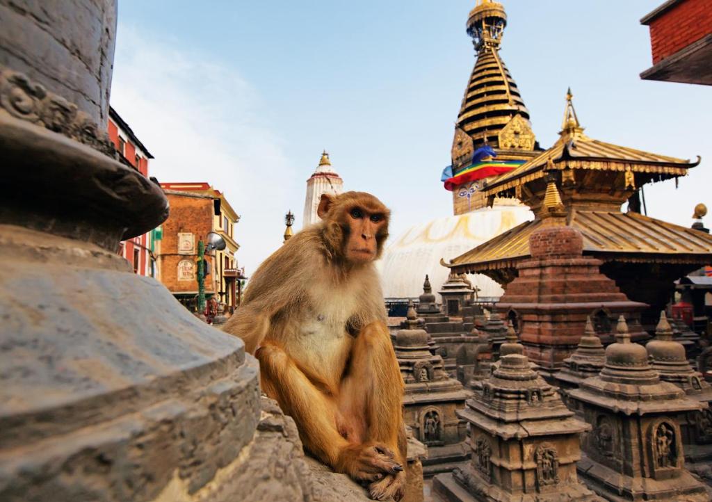 Картинки по запросу непал