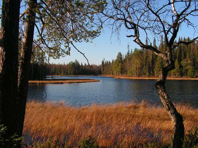 Озеро Сычево, Пинежский заповедник, Архангельская область
