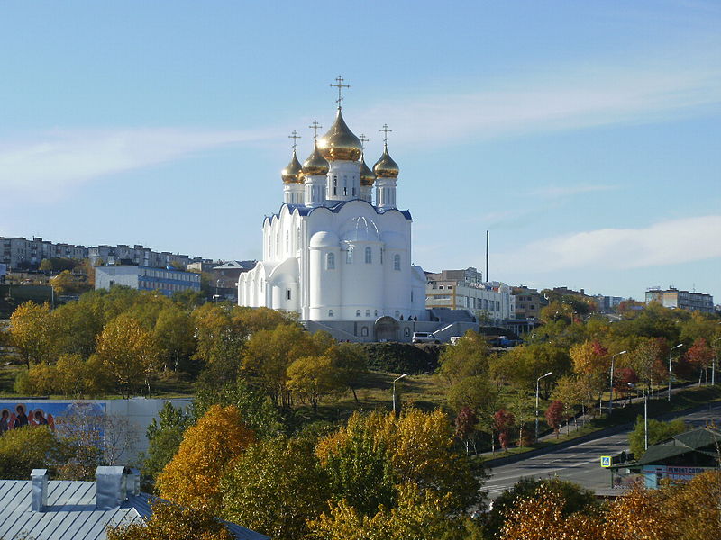 Седум камчатский вариегатум фото