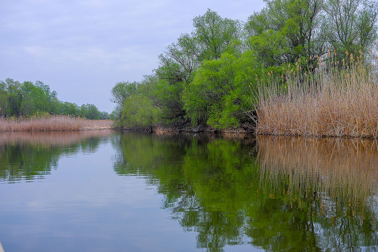 Rezerva Volga Delta Astrakhan