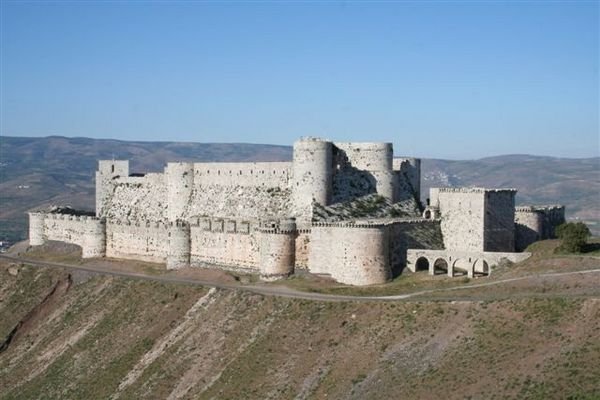 Крак де шевалье фото