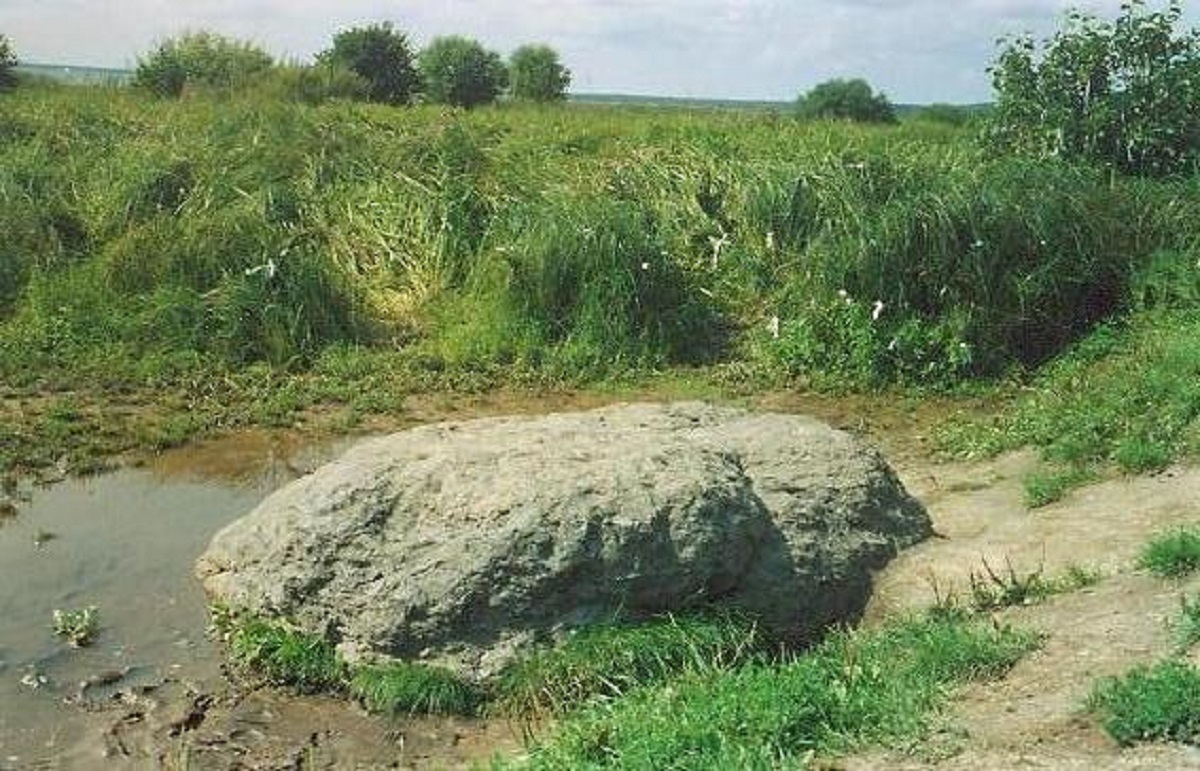 Чем полезны цветки липы для женщин Чем полезны цветки липы для женщин